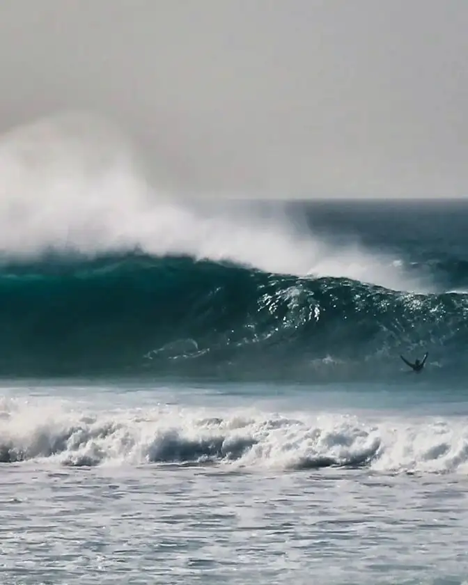 Fuerteventura, Isole Canarie